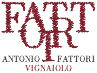 Fattori Wines