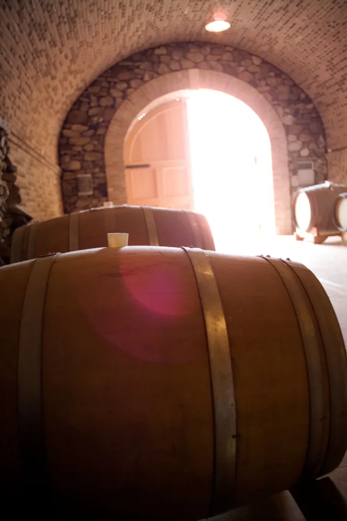 Botte di rovere nella cantina a volta, in controluce