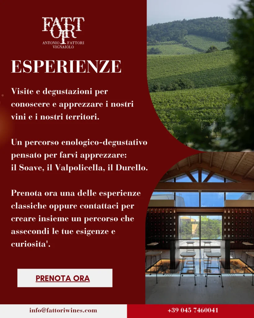 Locandina delle esperienze in cantina, con vigneti e sala di degustazione