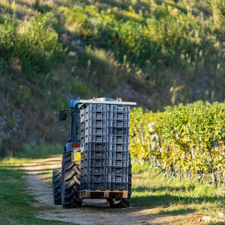 Trattore con le cassette della vendemmia