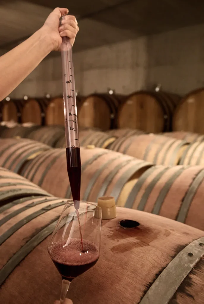 Vino spillato dalla botte nel calice